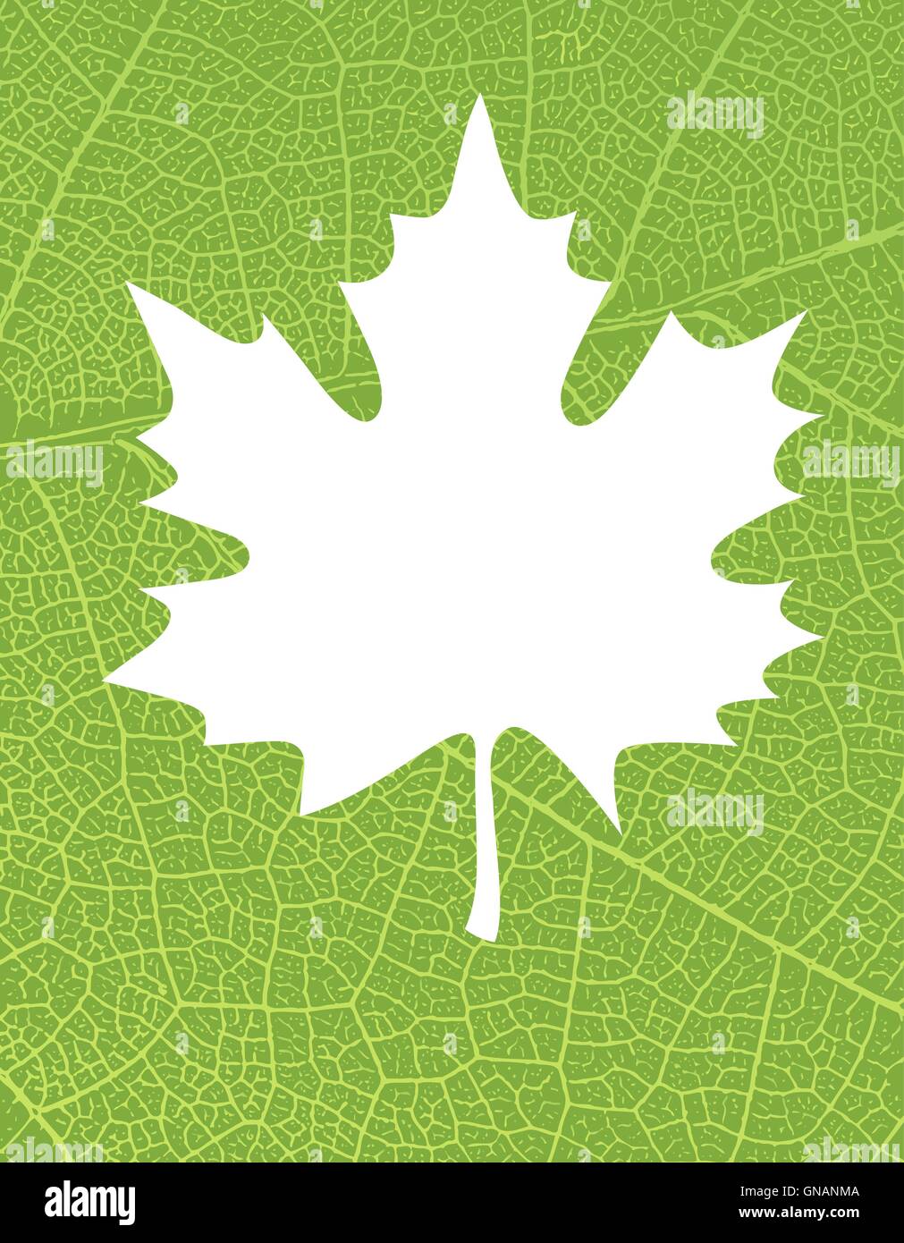 Nature background with free space for text or image. Green leaf Stock ...