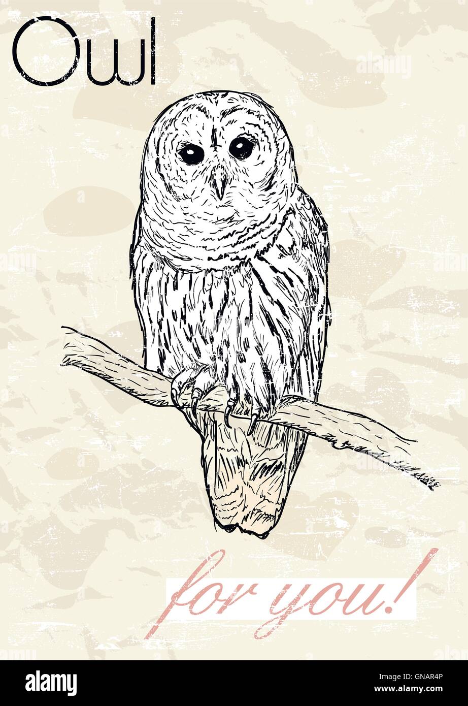 Poster with owl. Vintage style Stock Vector Image & Art - Alamy