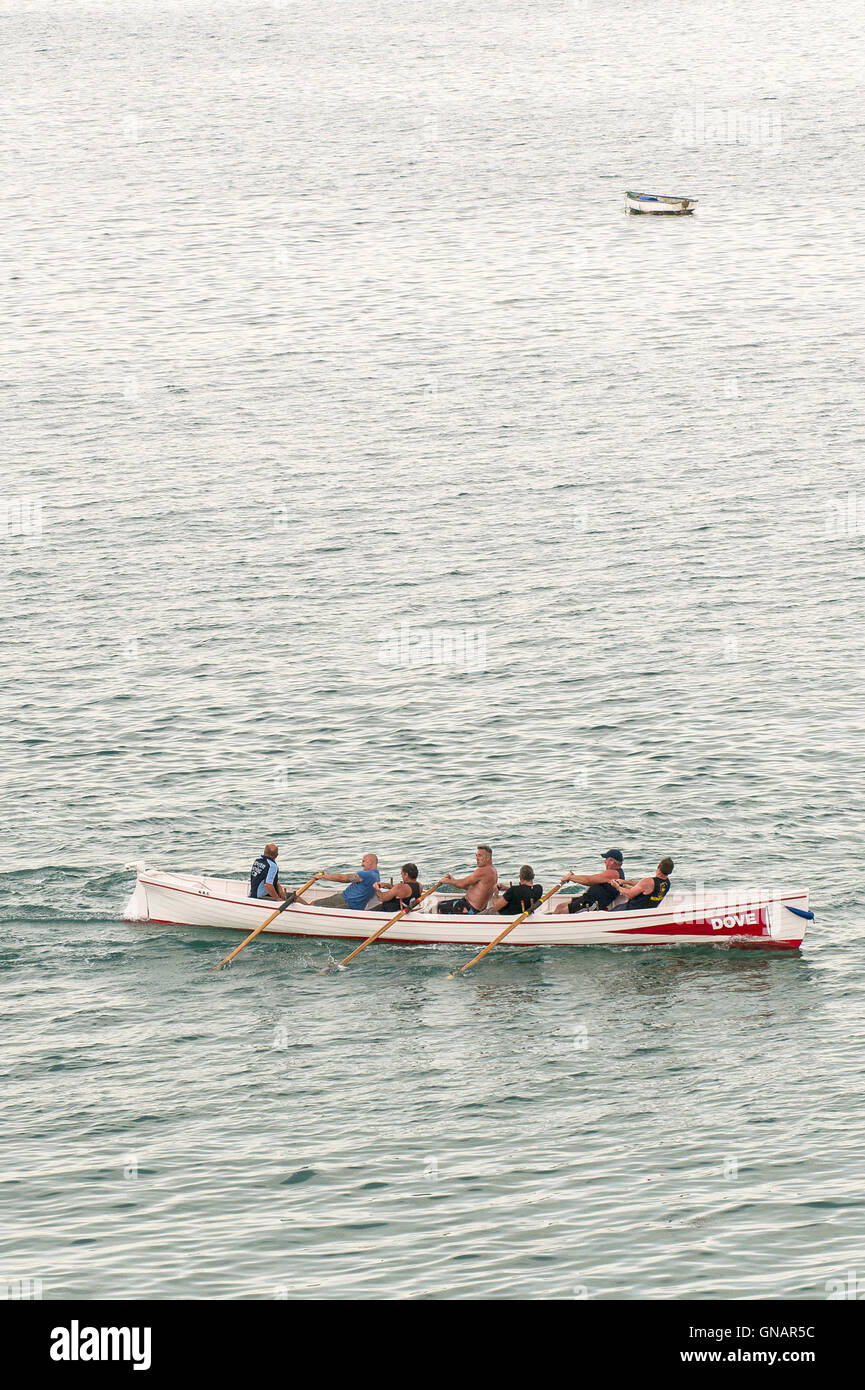 Dove, a traditional Cornish Pilot Gig competing in a race in Newquay, Cornwall. Stock Photo