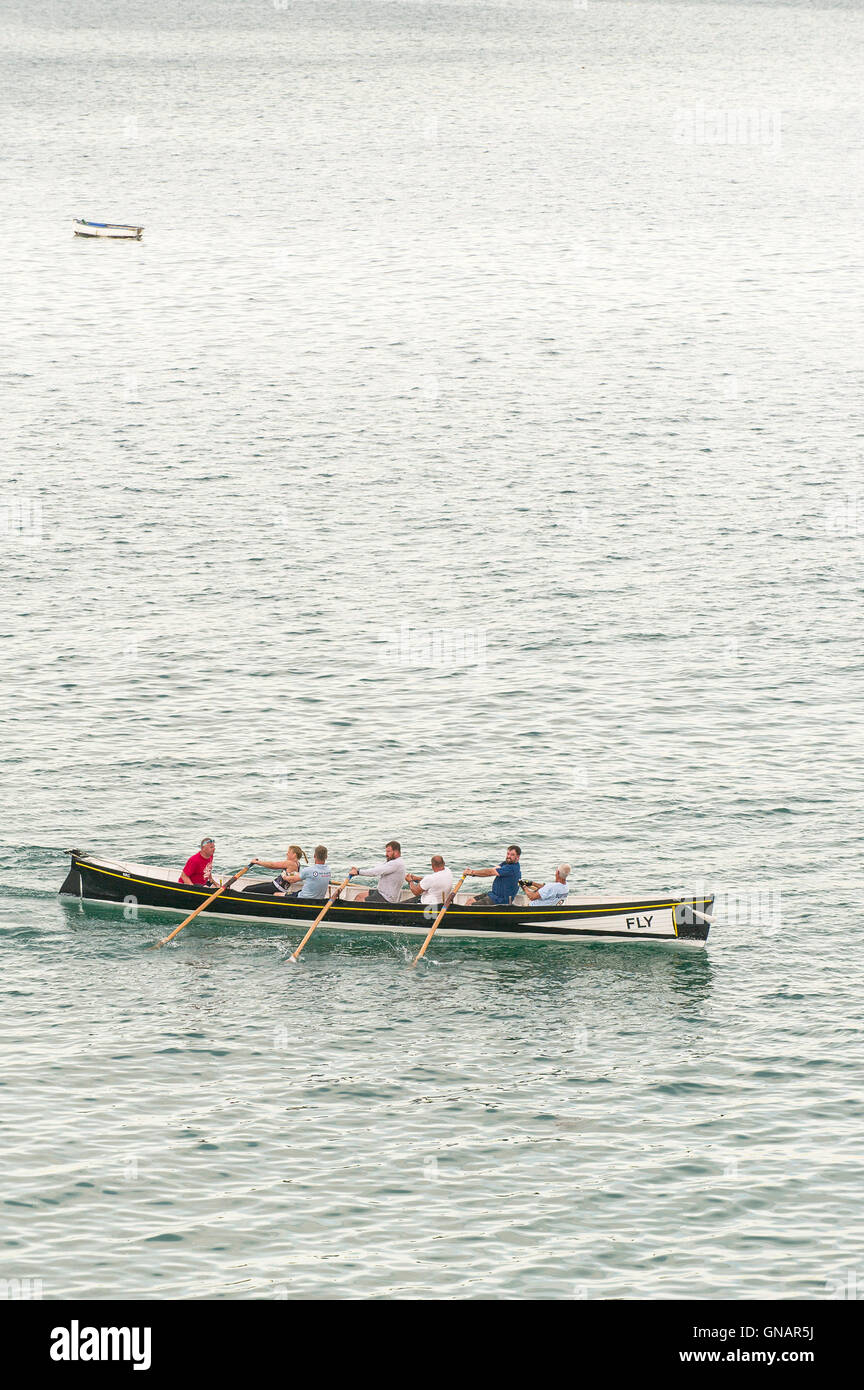 FLY,a traditional Cornish Pilot Gig nearing the end of a race in Newquay, Cornwall. Stock Photo