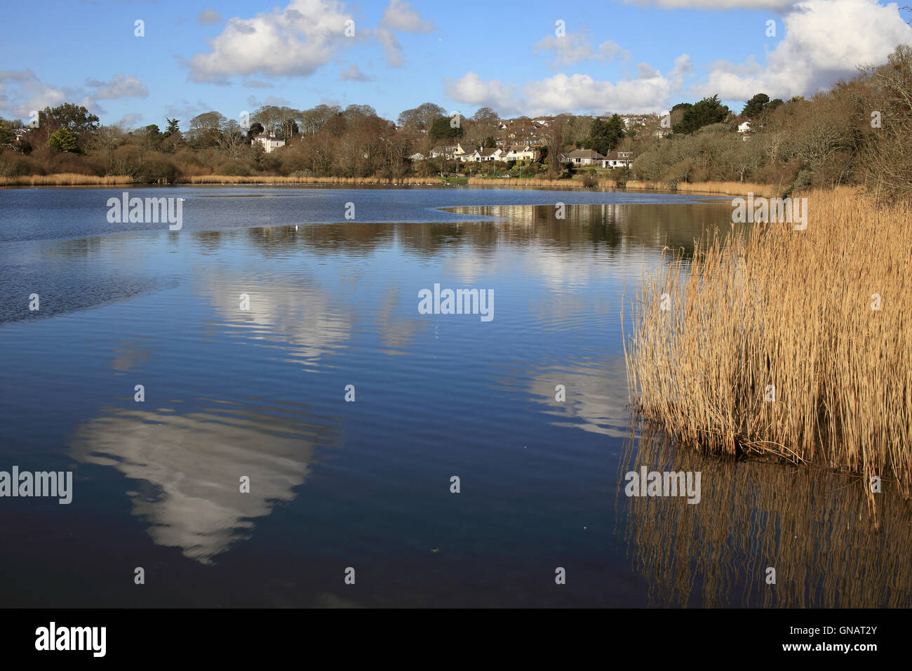 Falmouth Cornwall Winter Resolution Stock Photography Images -
