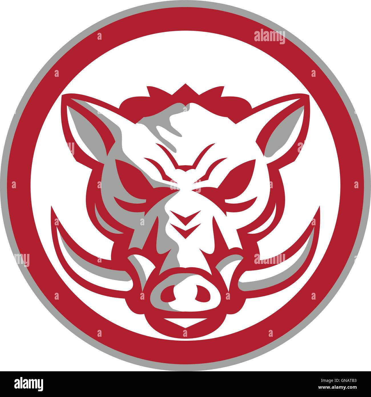 Angry boar Stock Vector Images Alamy