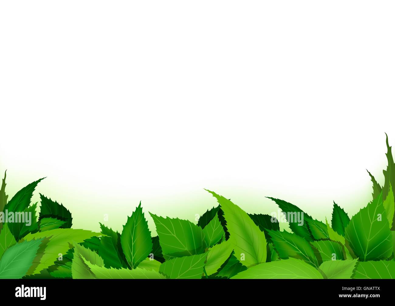 Green Leaves Background Stock Vector Image & Art - Alamy