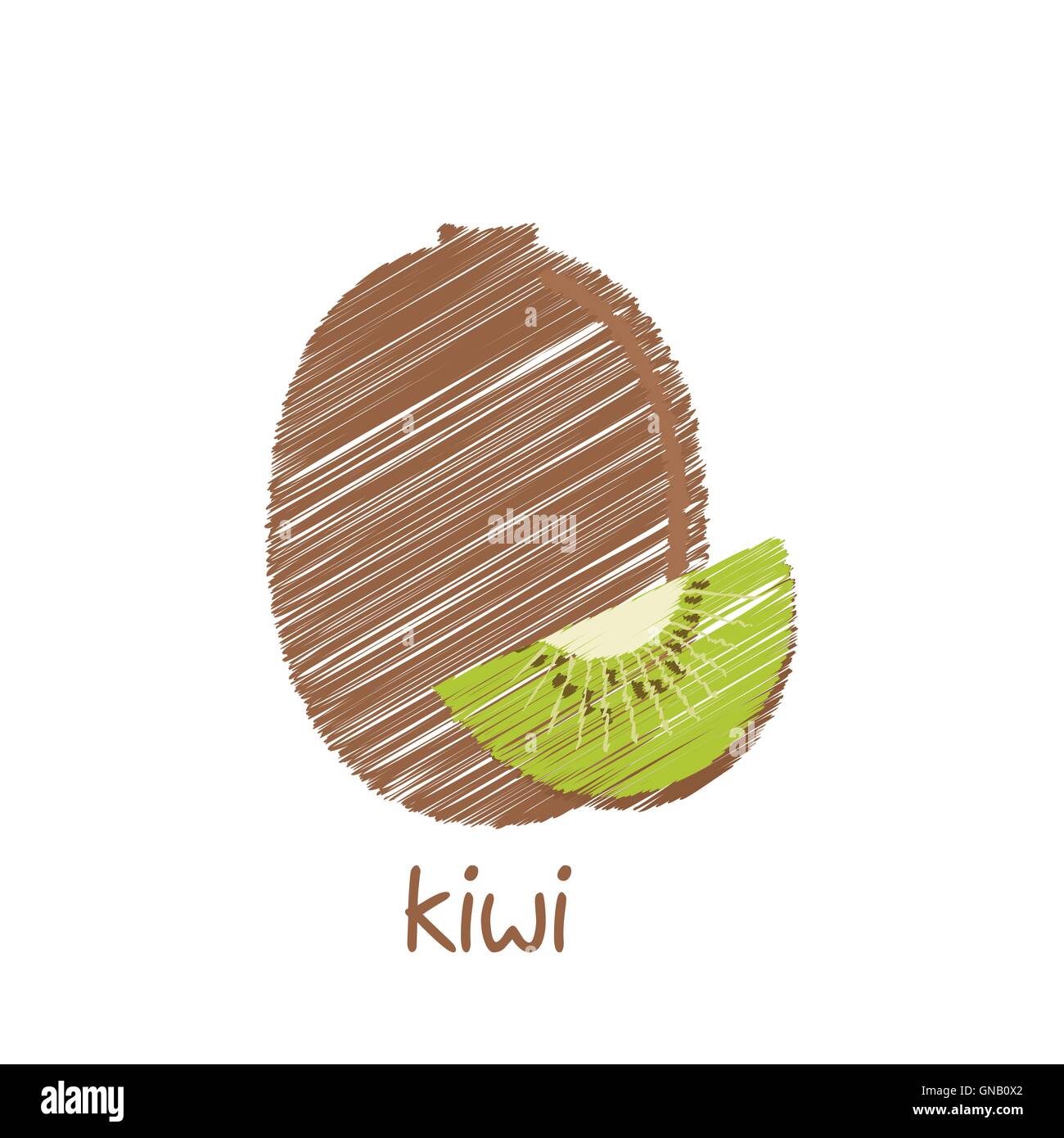 kiwi fruit, sketch design vector Stock Vector