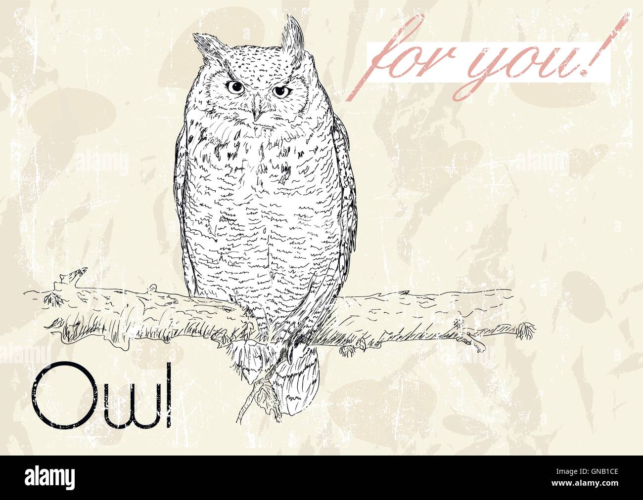 Poster with owl. Vintage style Stock Vector Image & Art - Alamy