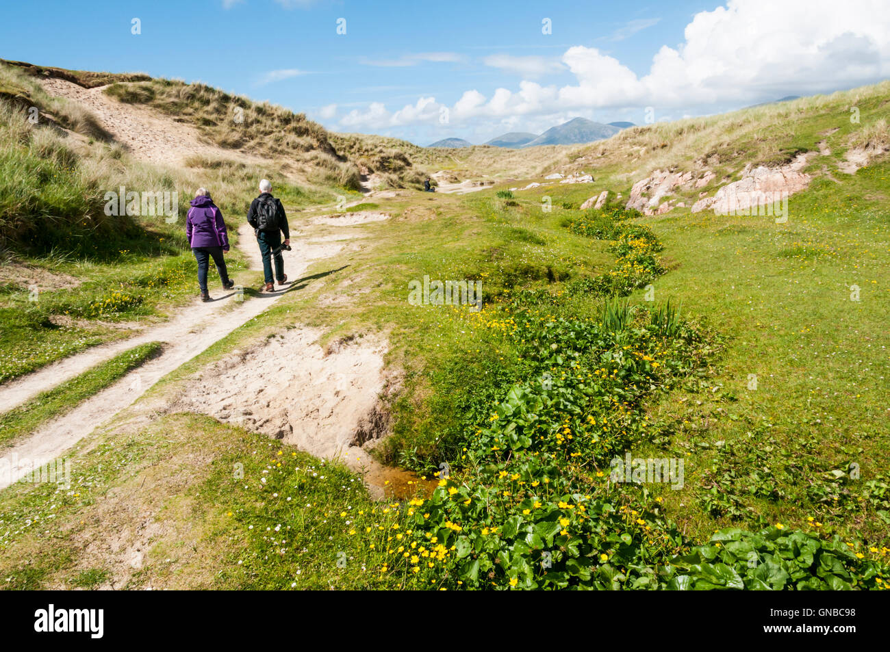 People following the path through the dunes to Luskentyre beach on the Isle of Harris. Stock Photo