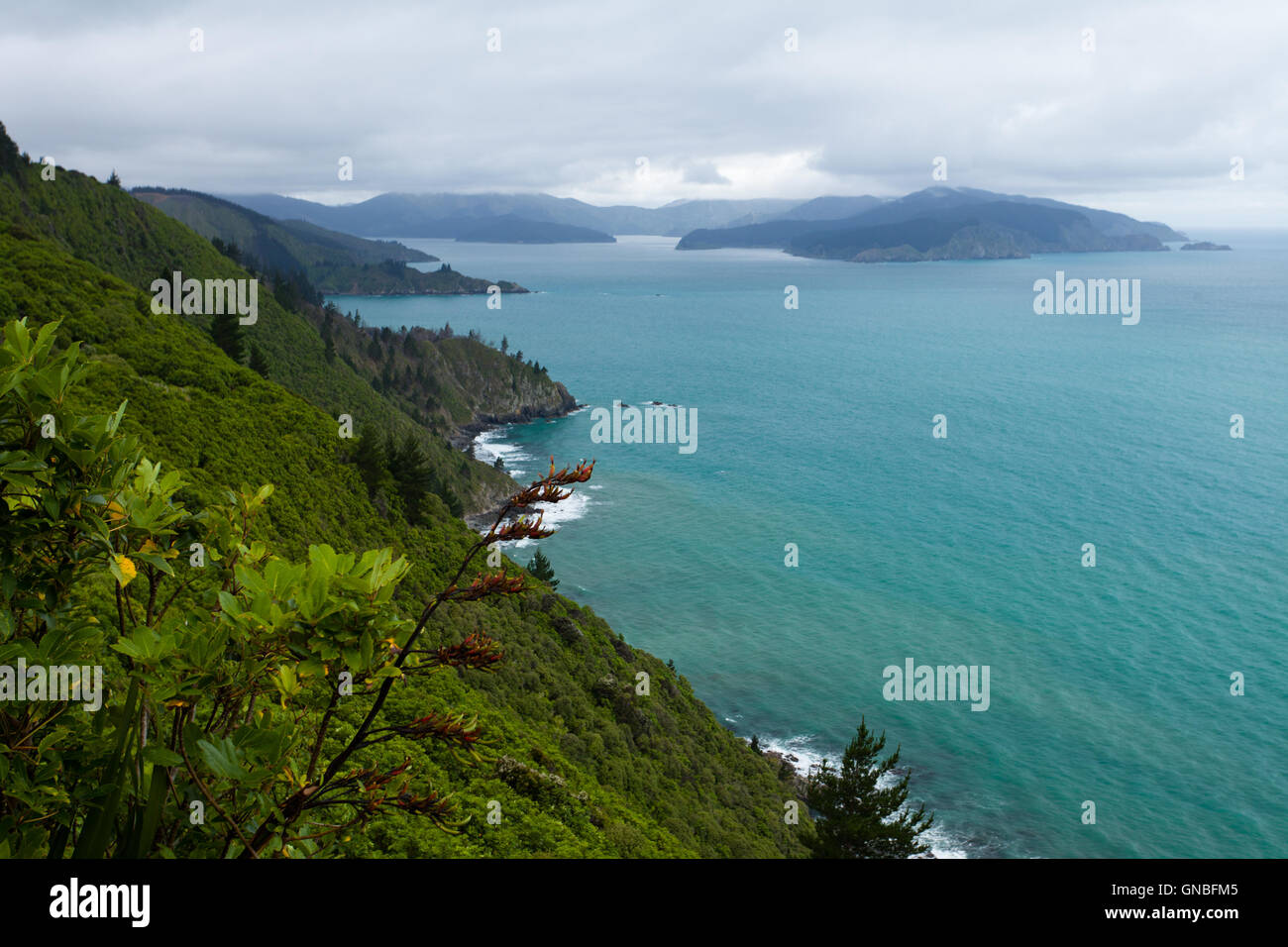 Cloudy Bay of Marlborough Sounds, New Zealand Stock Photo Alamy