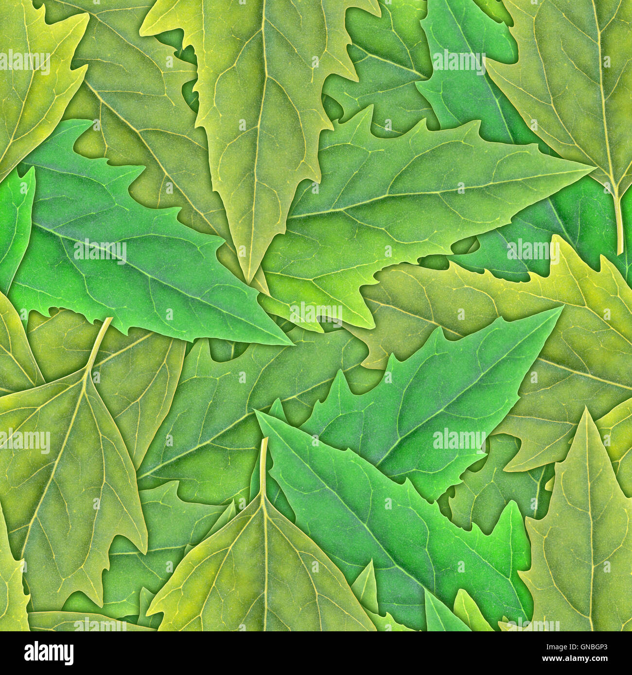 Seamless green leaf pattern hi-res stock photography and images - Alamy