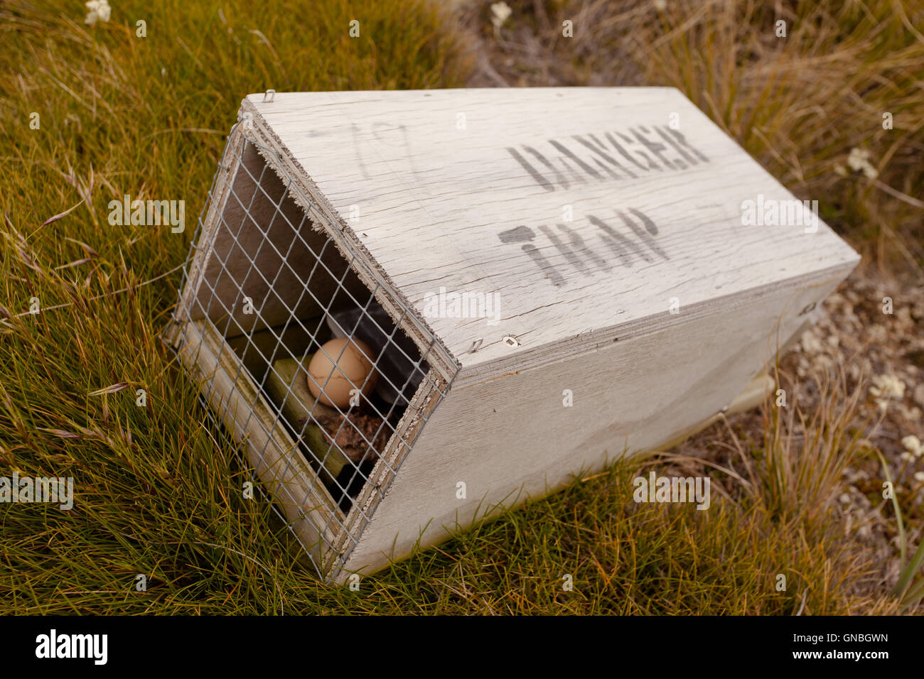 Small animal trap with written warning for humans Stock Photo
