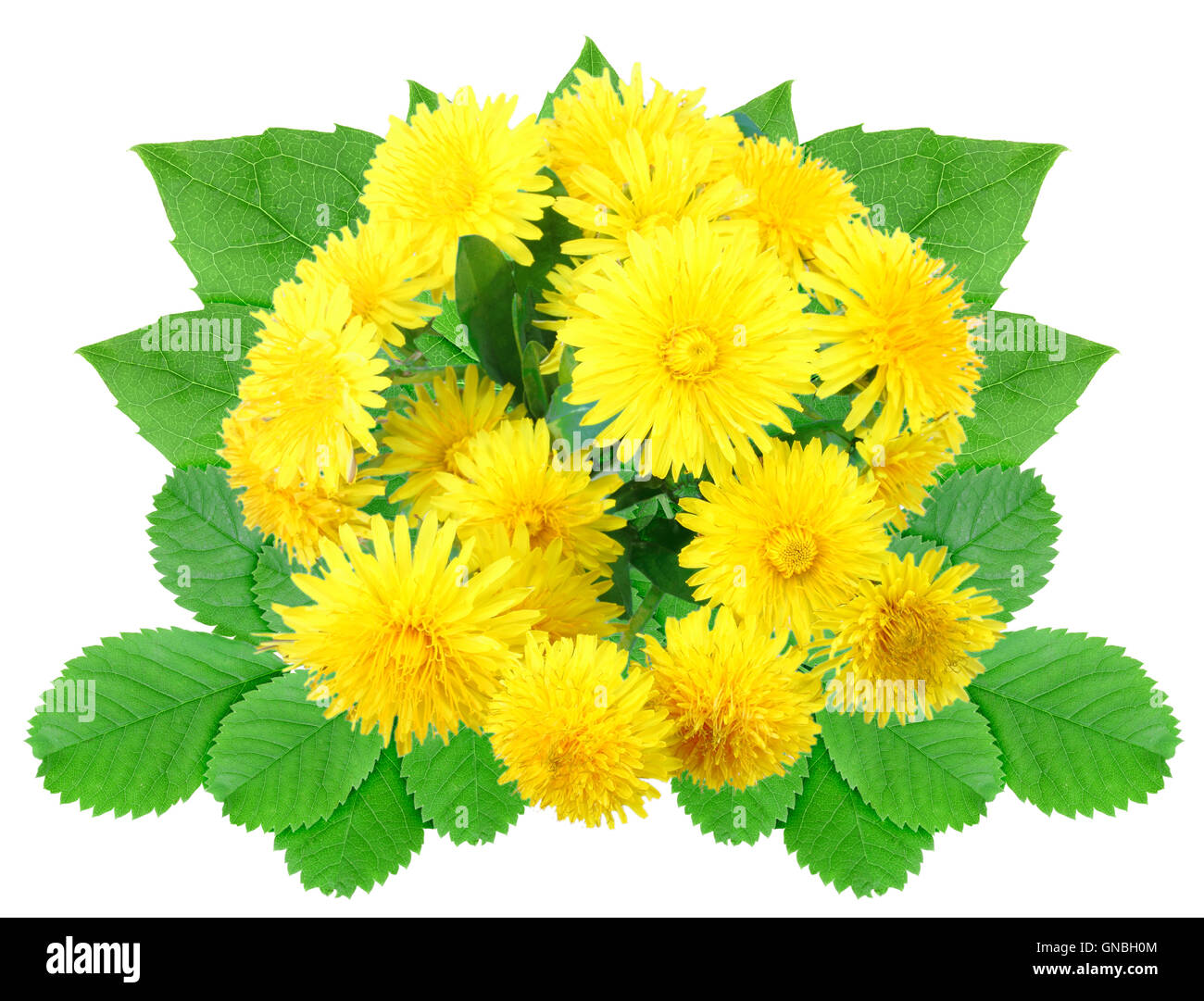 Bouquet of yellow flowers Stock Photo Alamy