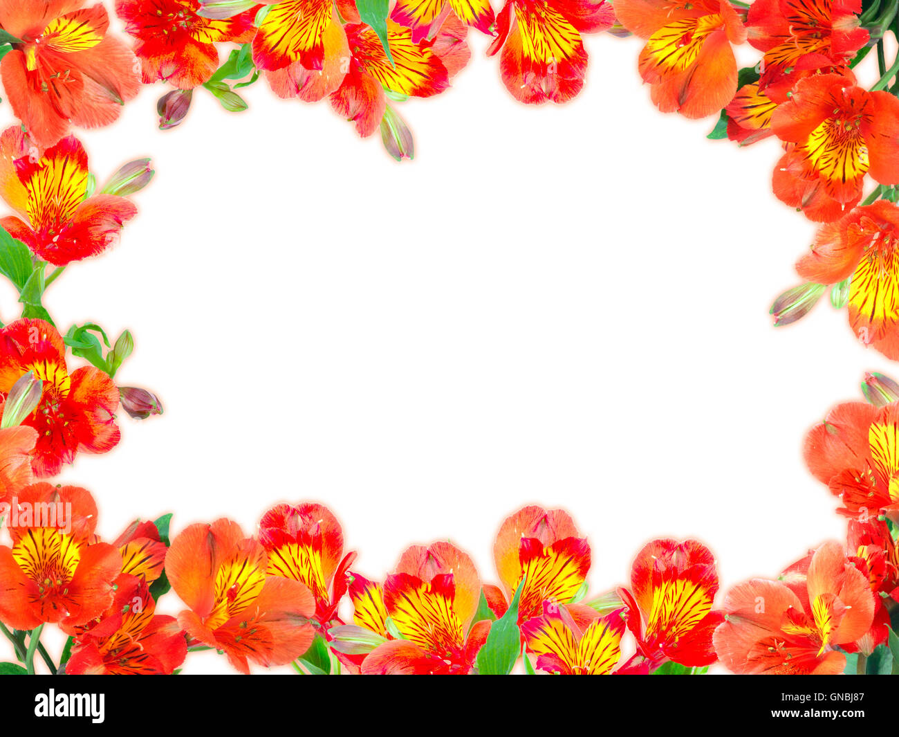 Floral frame with orange flowers and green leaf Stock Photo