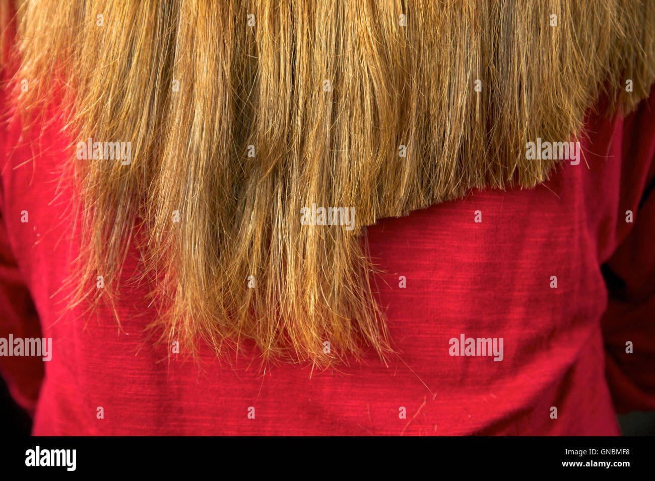 Hair Split Ends Close Up Stock Photos Hair Split Ends