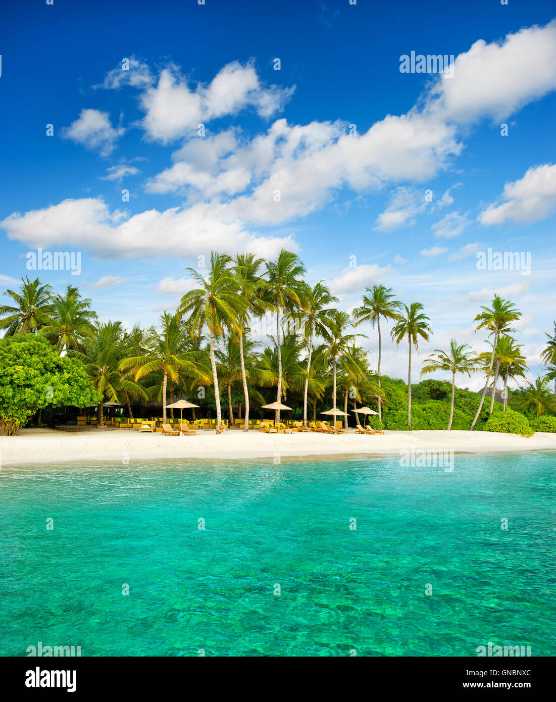 tropical island palm beach with beautiful blue sky Stock Photo - Alamy
