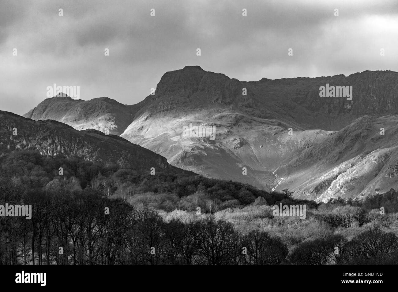 The Langdale Pikes from Great Langdale in monochrome, Lake District National Park, Cumbria, England, UK Stock Photo