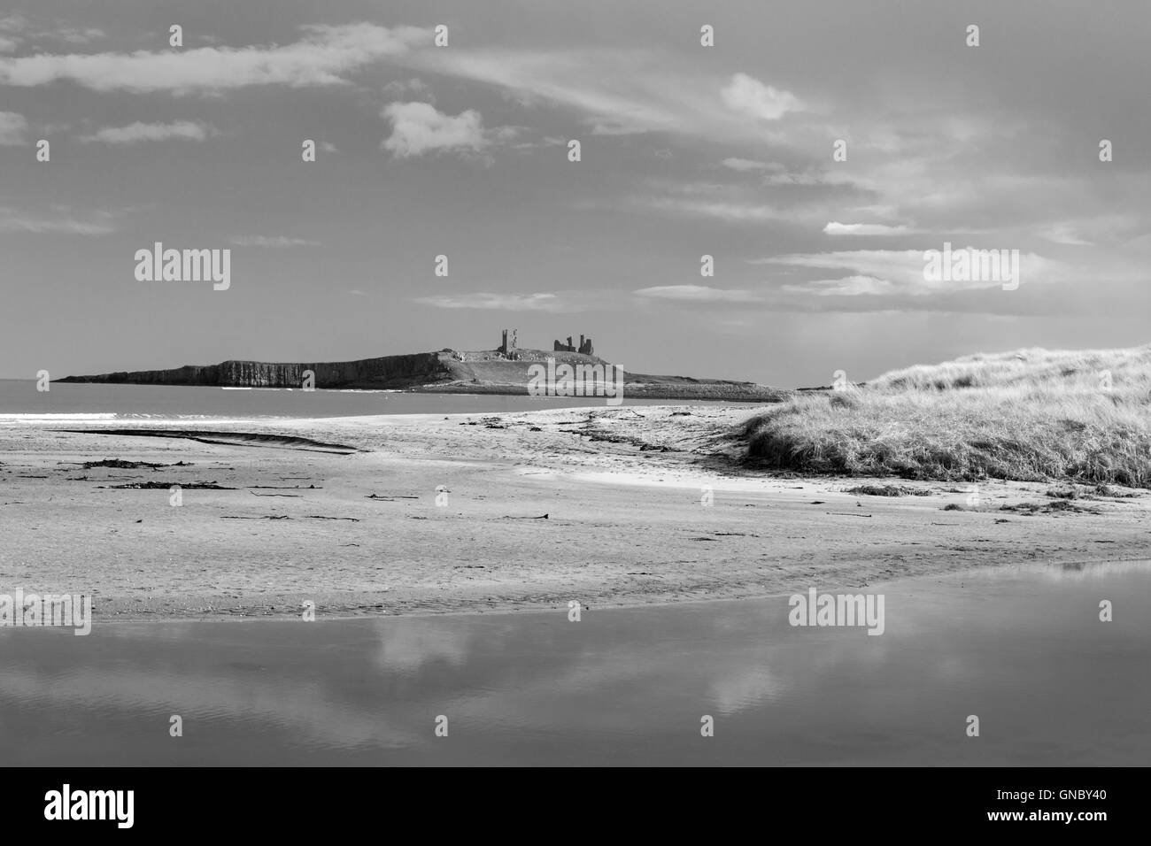 Dunstanburgh Castle across Embleton Bay in monochrome on the north east coast of Northumberland, England, UK Stock Photo