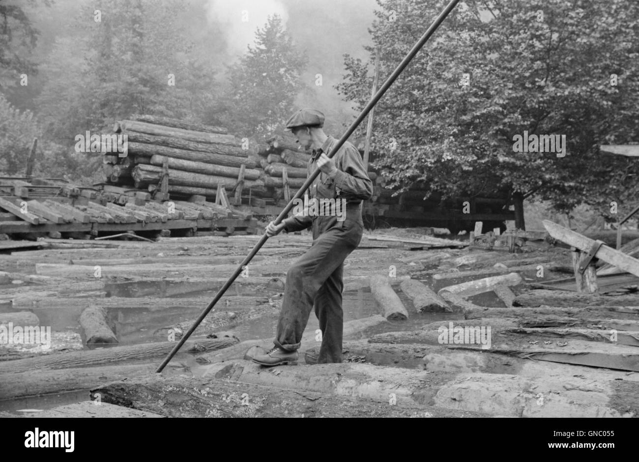 Man Spiking Logs to go up Ramp to Sawmill, Erwin, West Virginia, USA