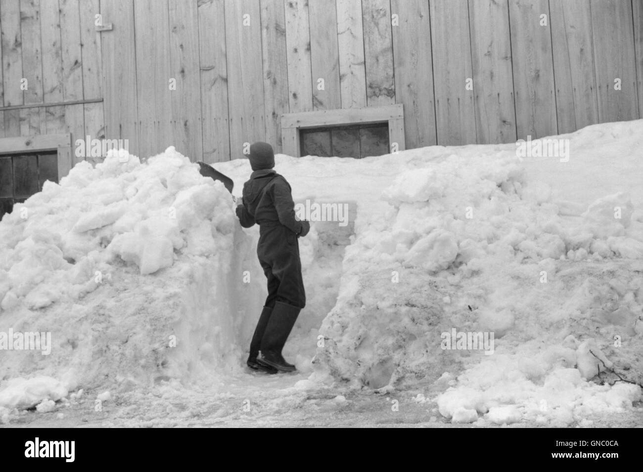 Young Boy Shoveling Snow from Barn Window after Heavy Snowfall, near Woodstock, Vermont, USA, Marion Post Wolcott for Farm Security Administration, April 1940 Stock Photo