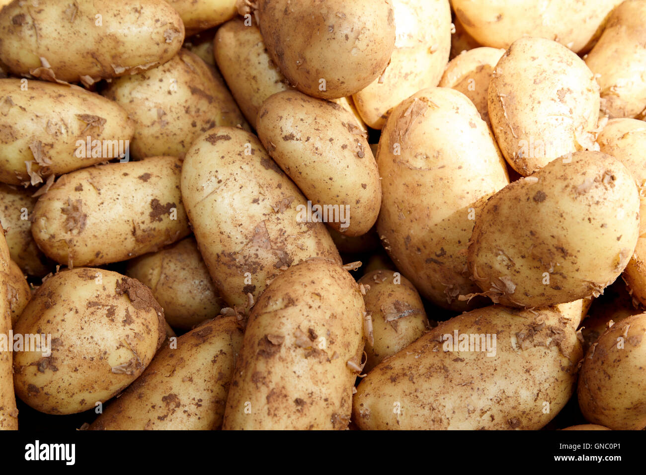 fresh new irish potatoes on display on a greengrocers food stall in the uk Stock Photo