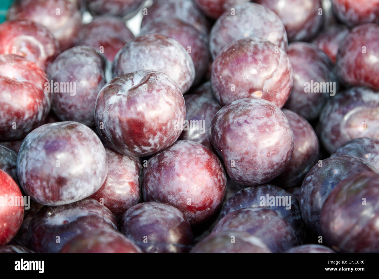 fresh plums on display on a greengrocers food stall in the uk Stock Photo