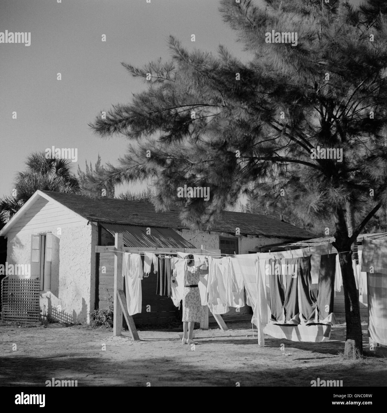 Woman Hanging Clothes on Clothesline, Sarasota Trailer Park, Sarasota, Florida, USA, Marion Post Wolcott for Farm Security Administration, January 1941 Stock Photo