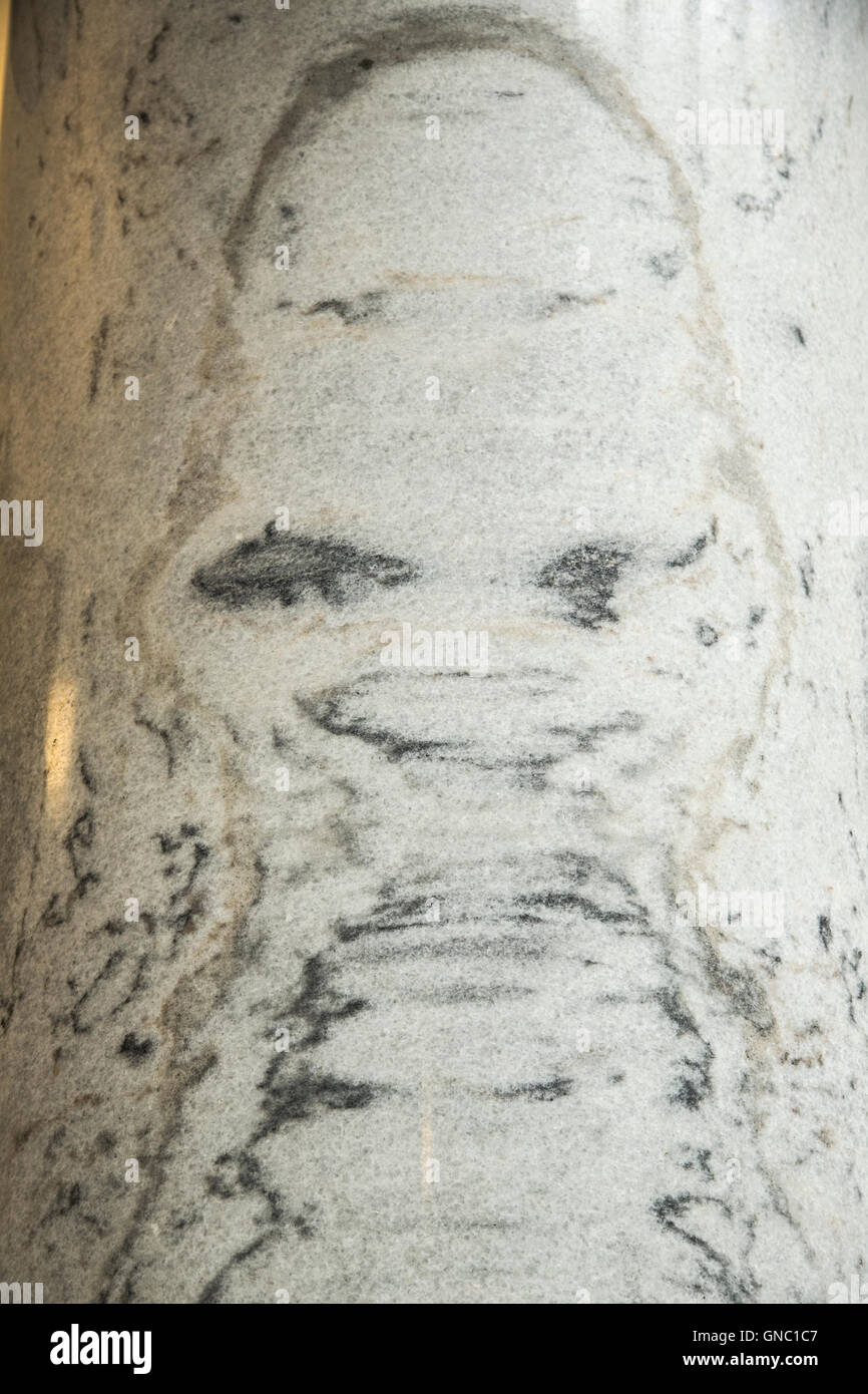 A face seen in marble patterning of a marble column in State Legislature Utah Stock Photo