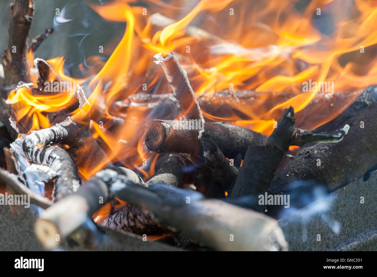 Bonfire in the forest Stock Photo - Alamy