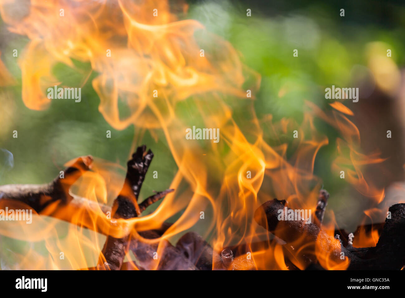 Bonfire in the forest Stock Photo - Alamy