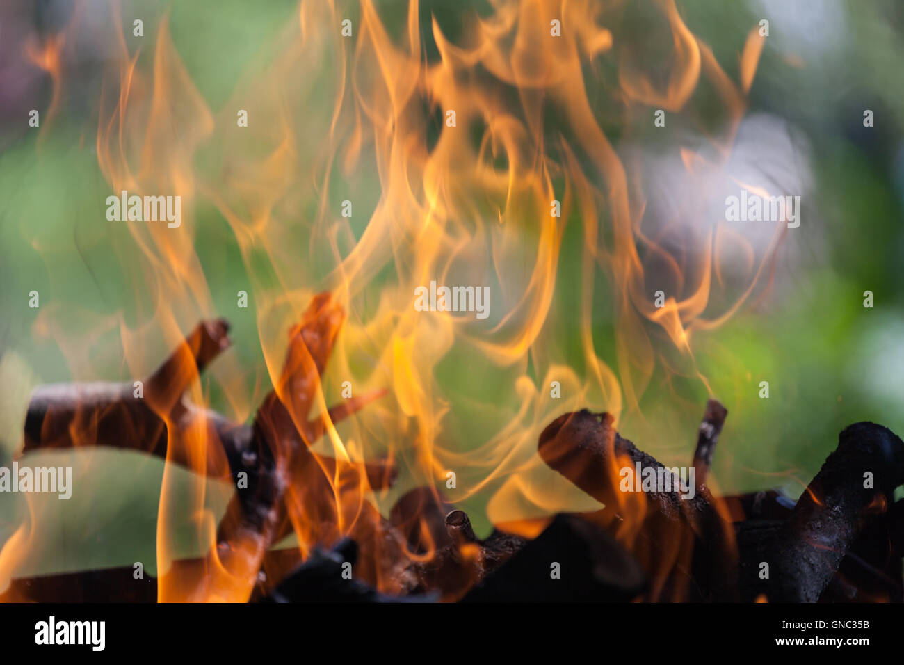 Bonfire in the forest Stock Photo - Alamy