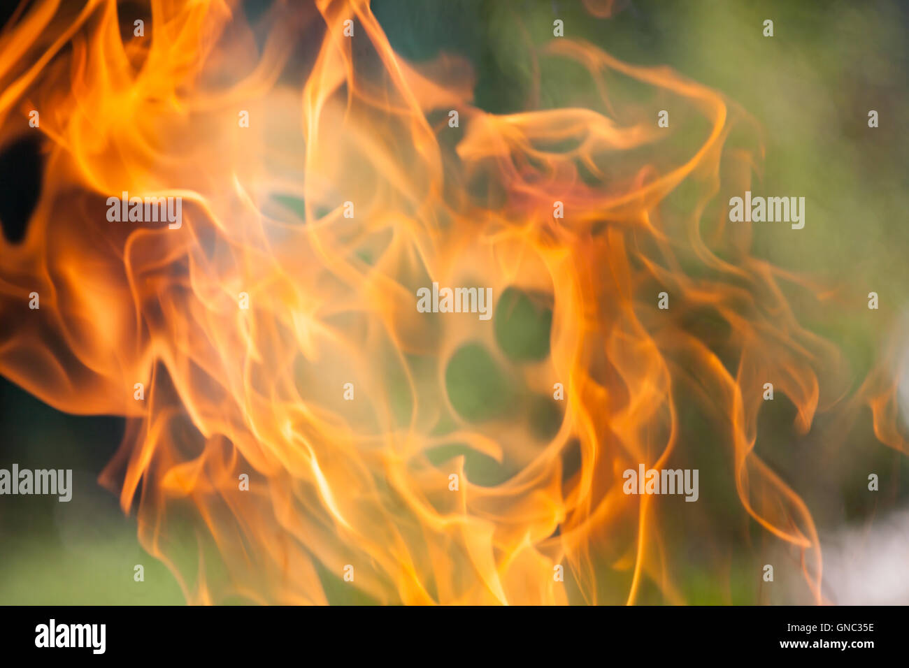 Bonfire in the forest Stock Photo - Alamy