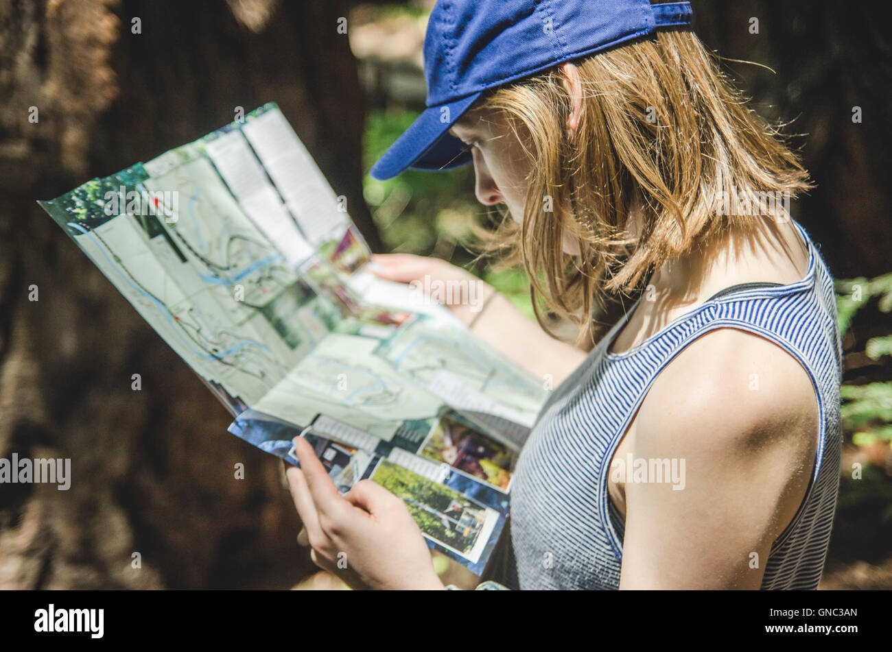 Young Woman Looking at Map of Pfeiffer Big Sur State Park, California, USA Stock Photo