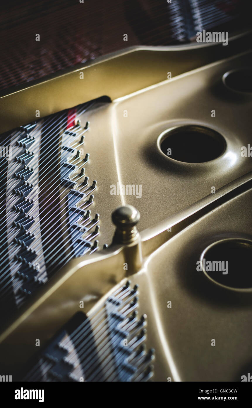 Detail of Grand Piano Cast Iron Plate and Strings Stock Photo Alamy