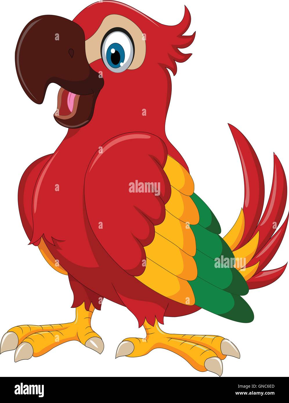 Cute Parrot Cartoon Images / Parrot bird pirate parrot parrot ...