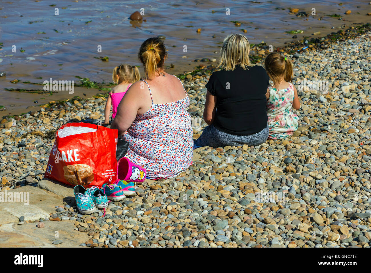 Teens Chubby Beach