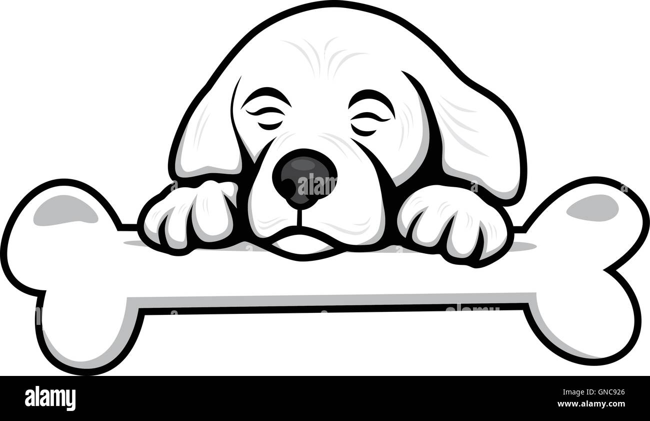 cute little puppy with bone Stock Vector Image & Art - Alamy