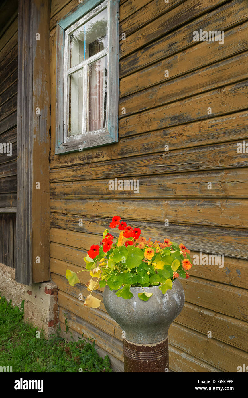 Country House Wall And Flowers In The Cast Iron Pot Stock Photo