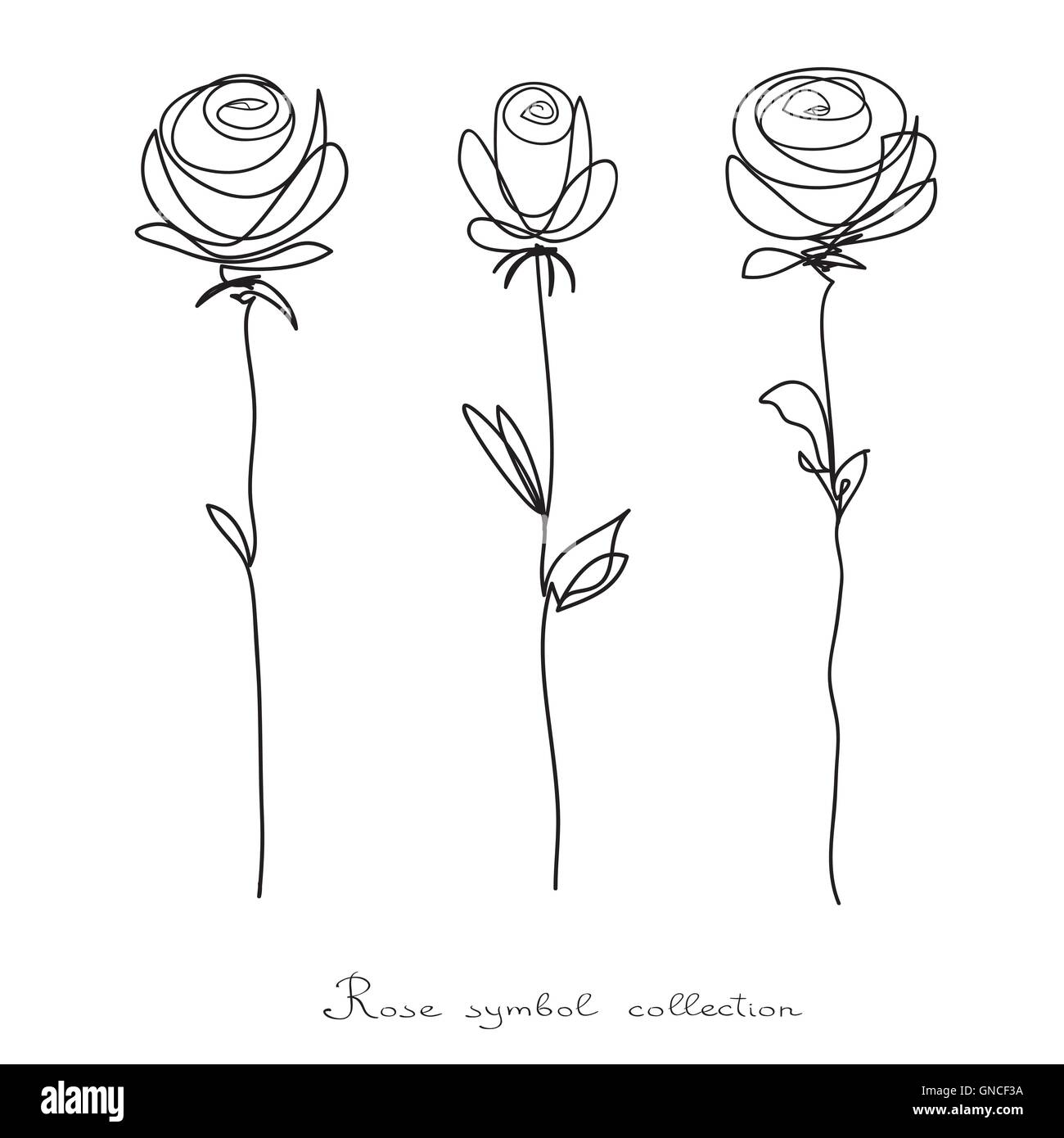 Roses. Collection of isolated flower sketch on white background ...