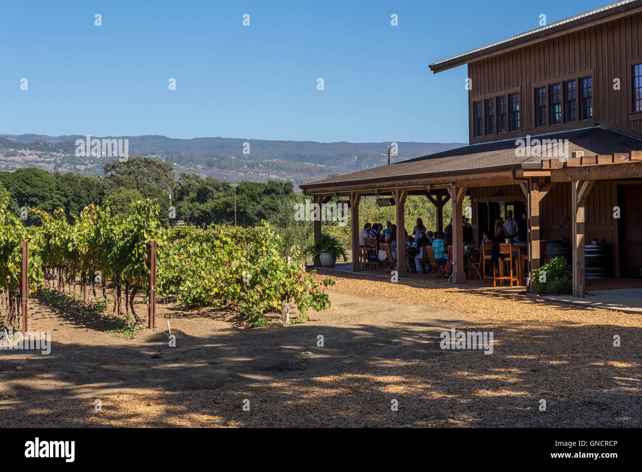 people, outdoor wine tasting, wine tasting room, wine tasting, tasting room, Robert Biale Vineyards, Big Ranch Road, Napa, Napa Valley, California Stock Photo