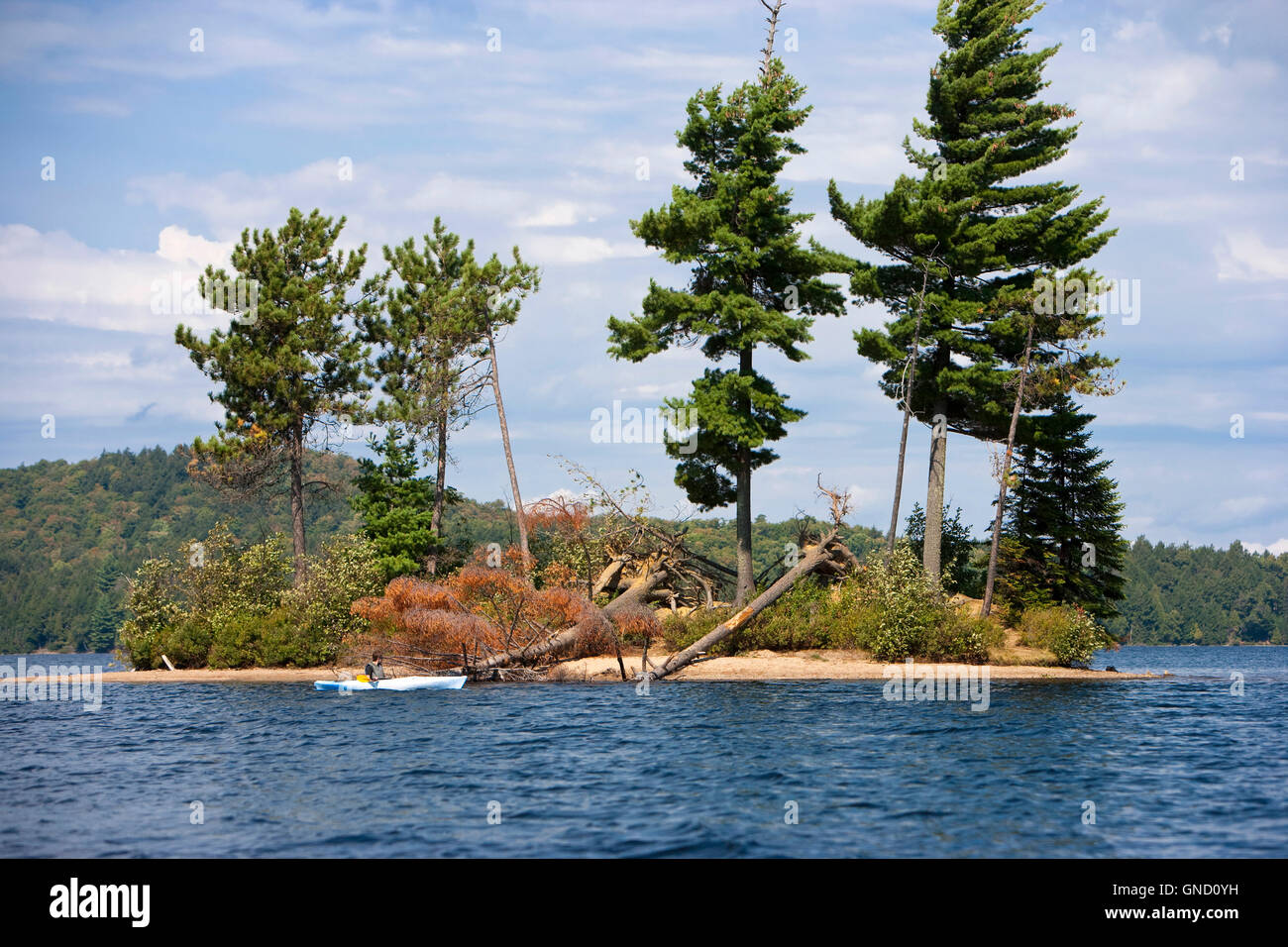 boy paddling kayak in lake with island, North America, Canada, Ontario, Algonquin Provincial Park Stock Photo