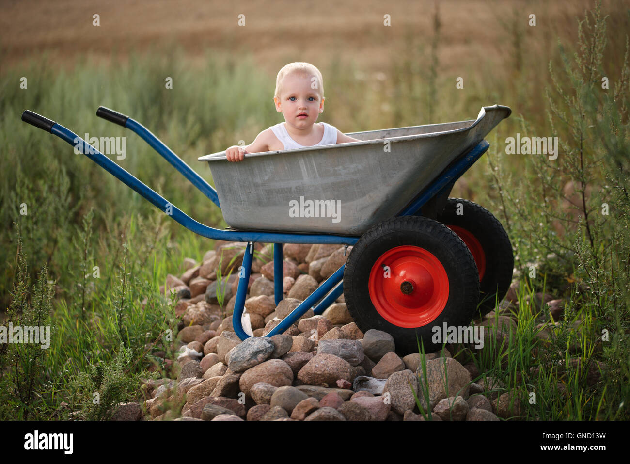 little boy with wheelbarrow Stock Photo - Alamy