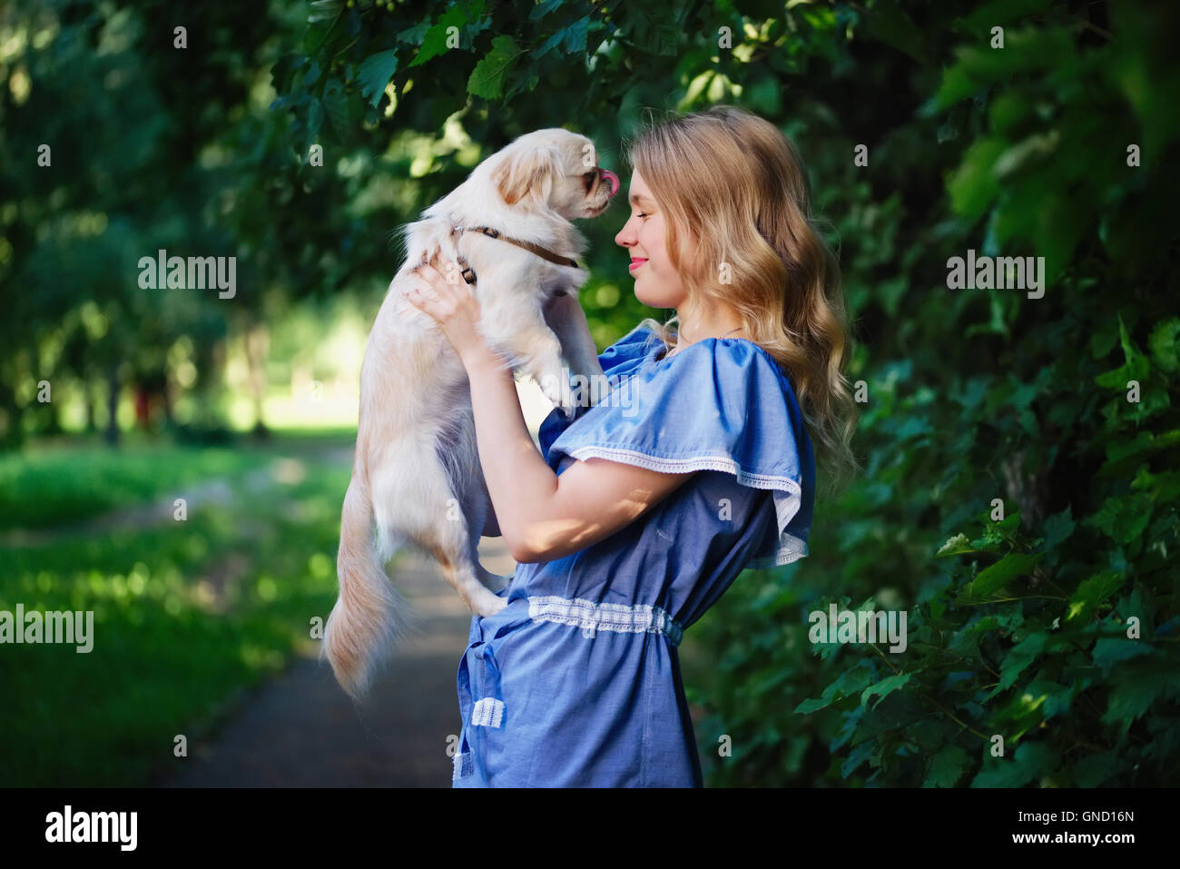 young beautiful girl with pekingese Stock Photo - Alamy