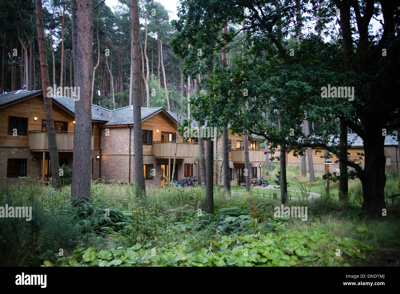Center Parcs Woburn Forest, the newest holiday village of Center Parcs