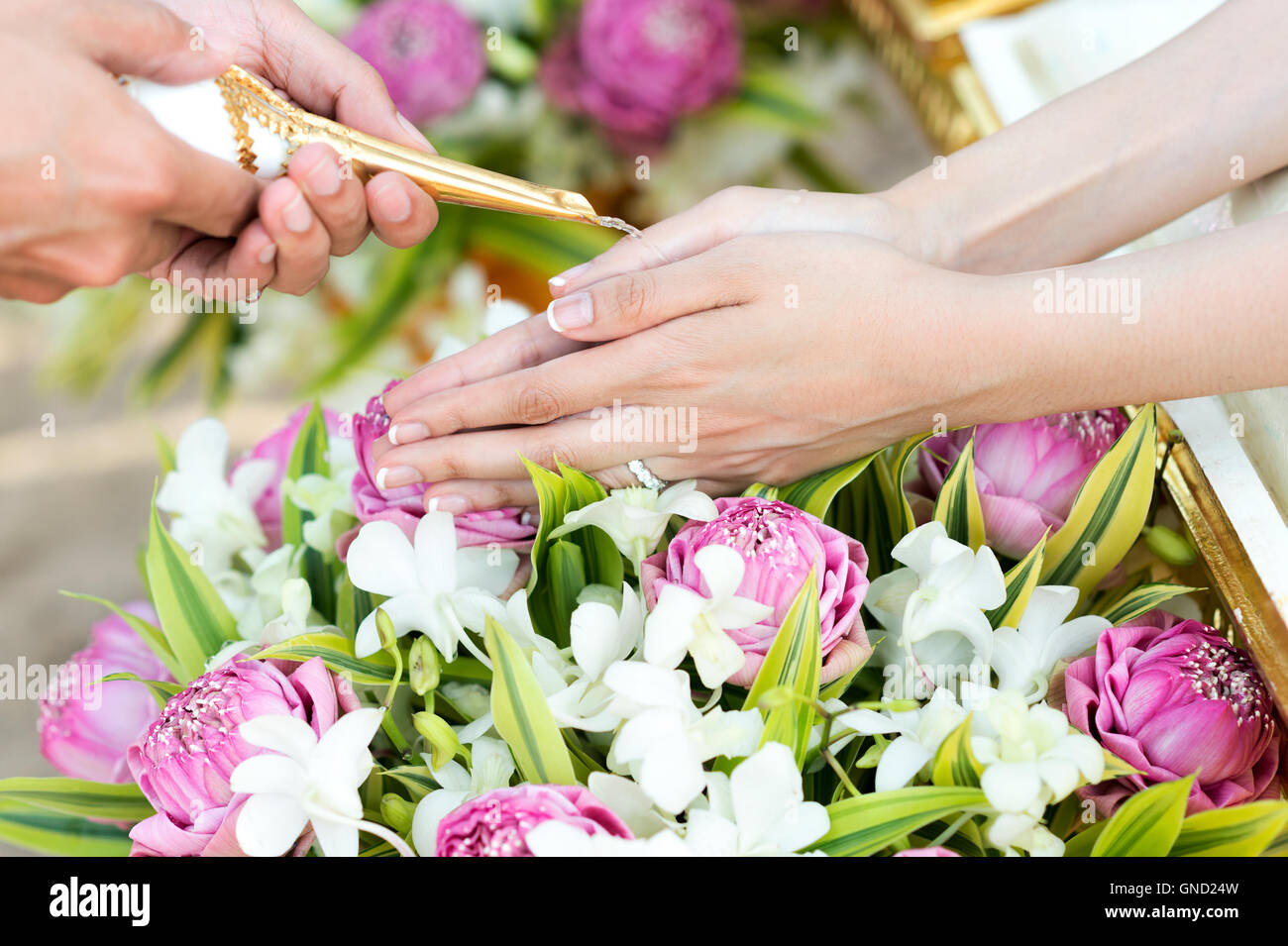 Thai wedding watering ceremony, hand of a bride receiving holy water from elders in thai culture wedding ceremony Stock Photo