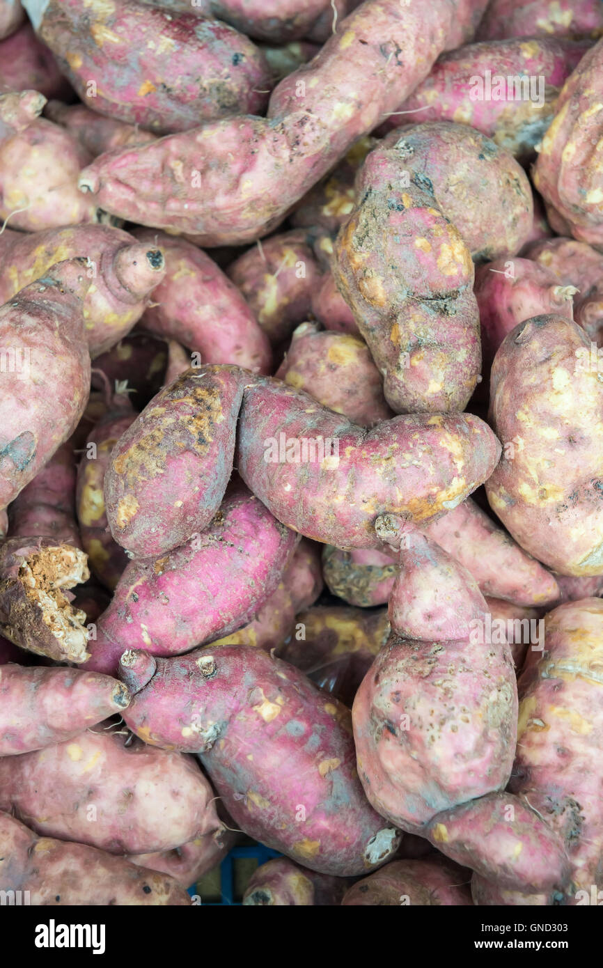 Yam crop hires stock photography and images Alamy
