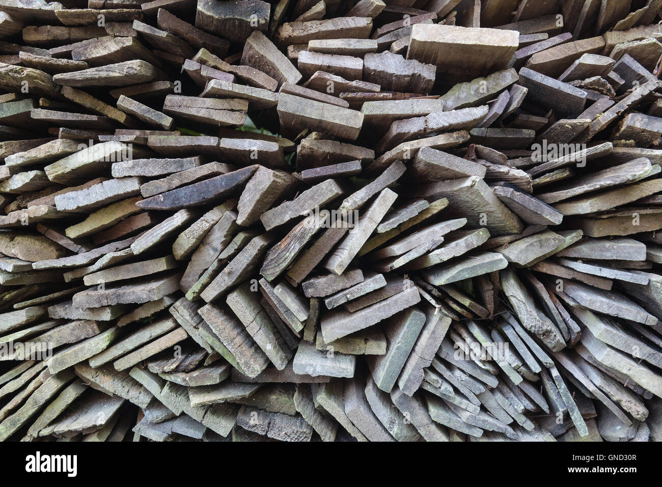 The pattern of old wood pine, show different shapes of each. Stock Photo
