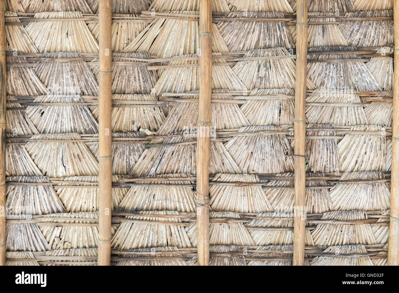 The roof of palm leaf. Stock Photo
