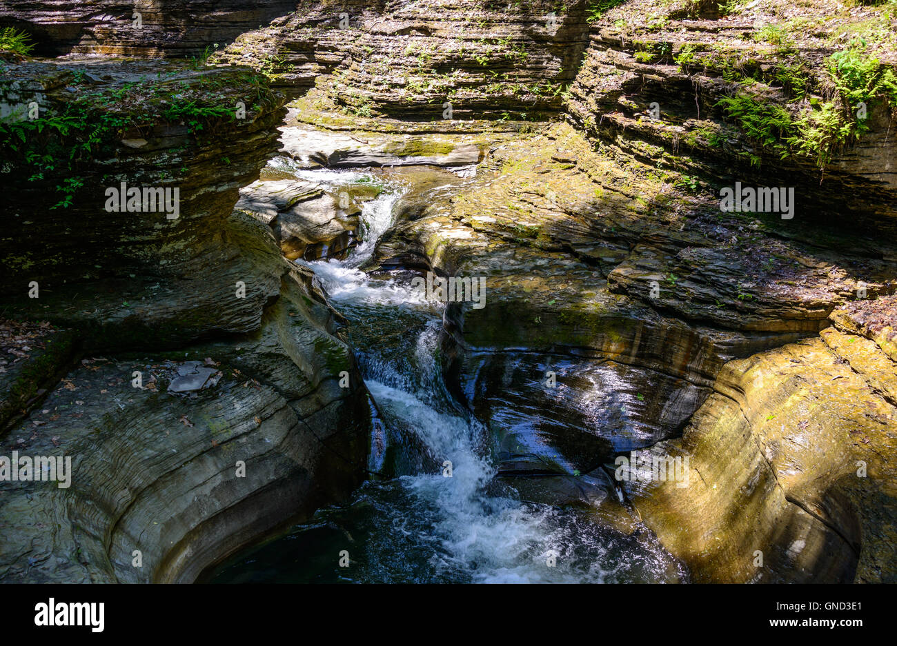 Watkins Glen State Park Stock Photo