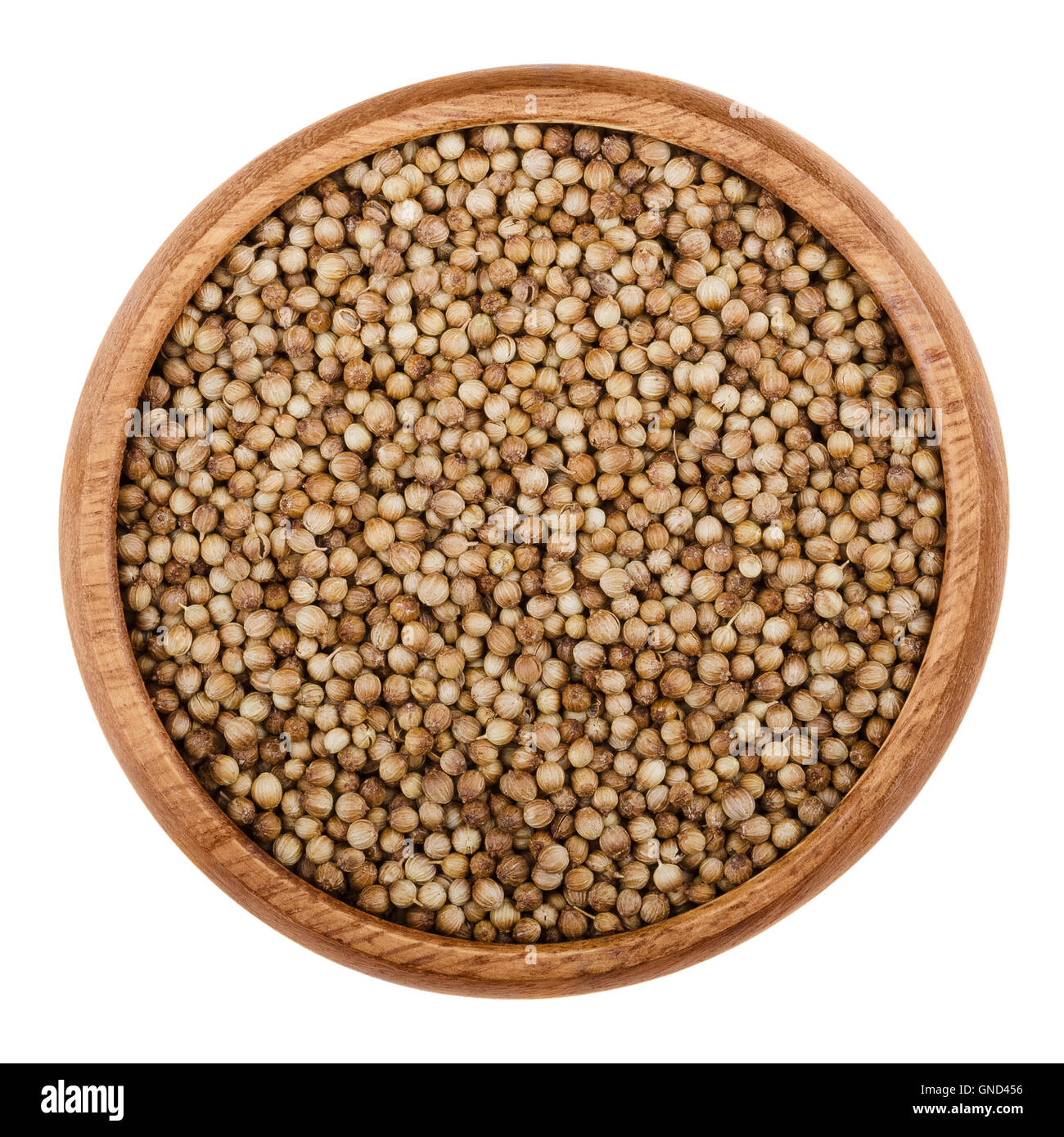 Dried coriander seeds in a wooden bowl on white background. Edible brown fruits of Coriandrum sativum, also cilantro. Stock Photo