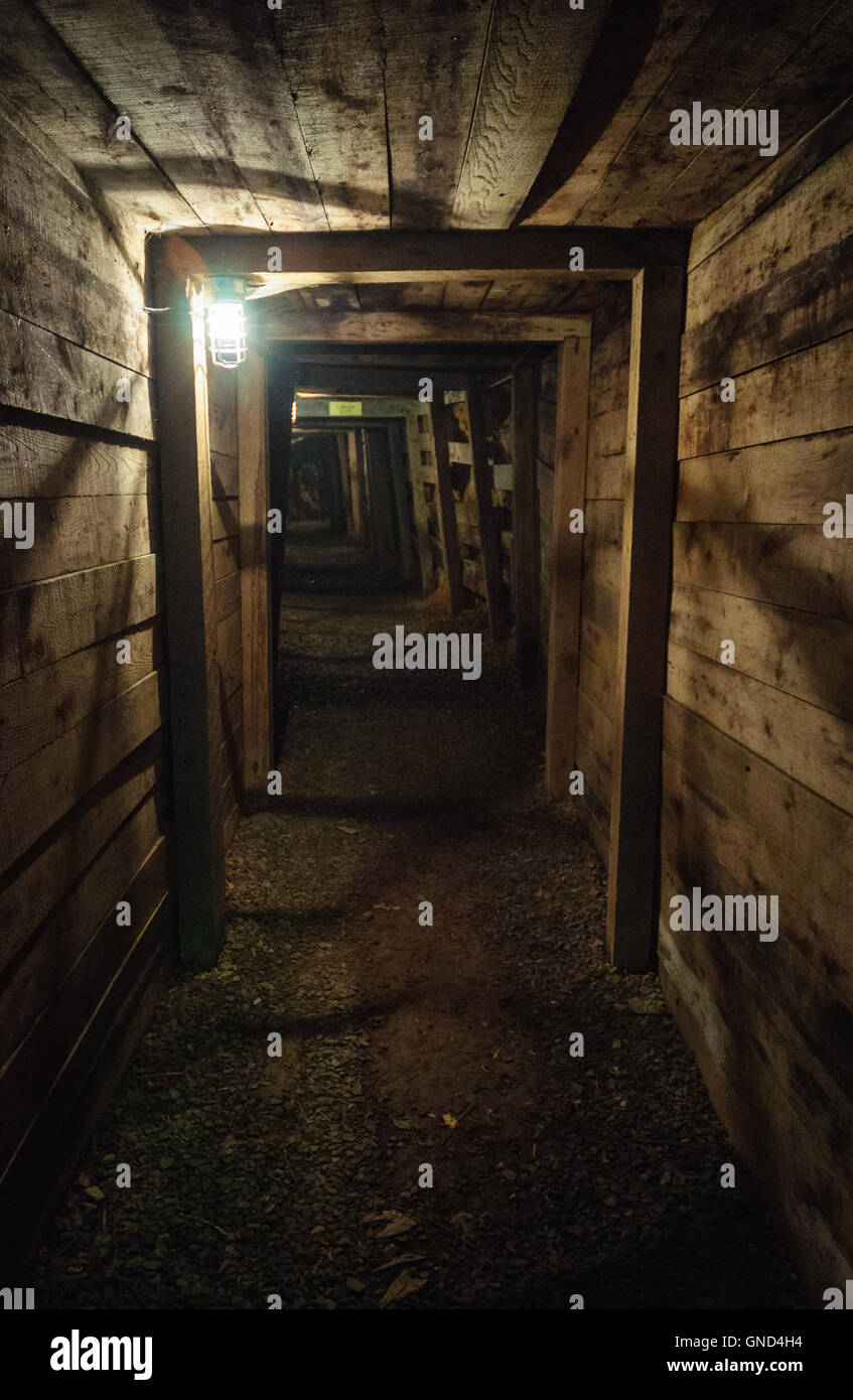 Reed Gold Mine State Historic Site Stock Photo Alamy