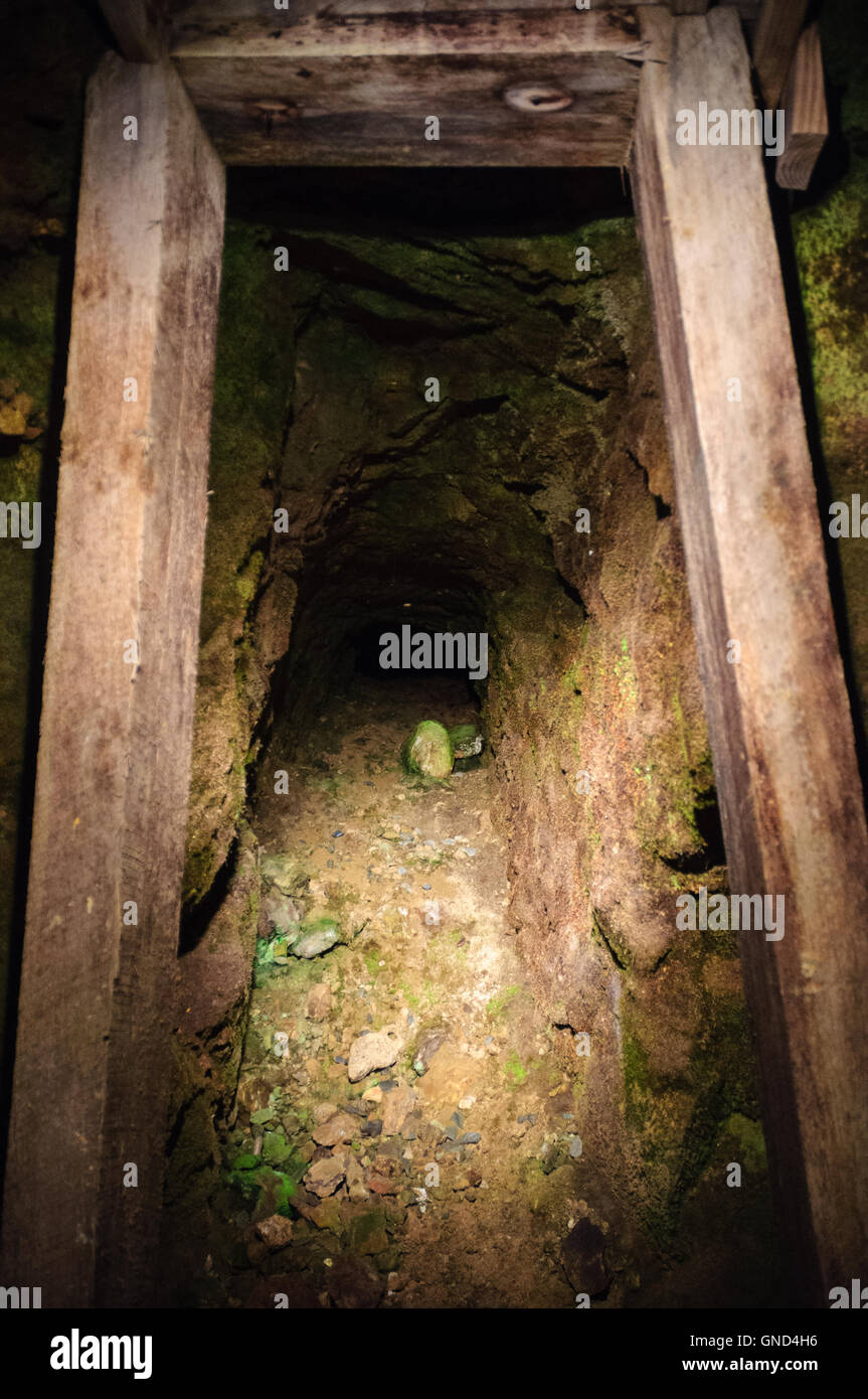 Reed Gold Mine State Historic Site Stock Photo Alamy