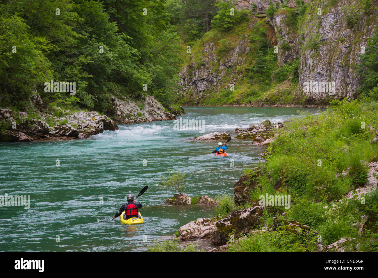 Montenegro. Durmitor National Park. Kayaking on the Tara River in the Tara  Canyon. The Park is a UNESCO World Heritage Site Stock Photo - Alamy